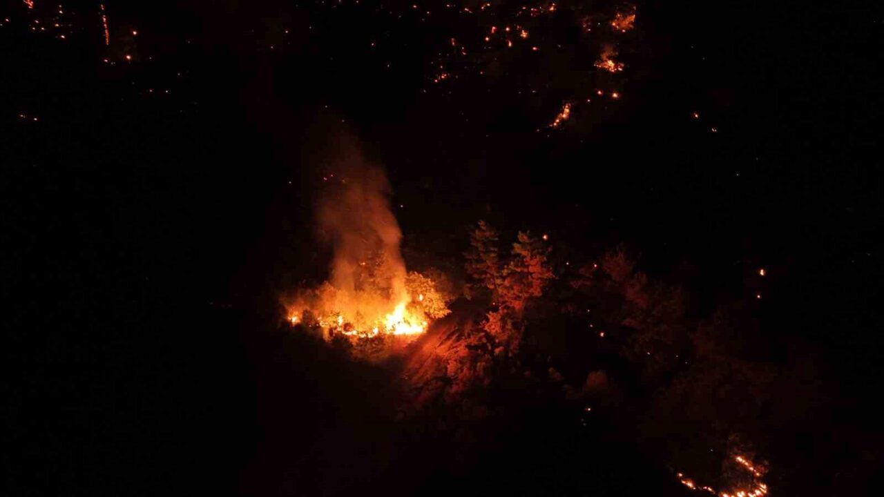 Çanakkale’de Bayramiç ilçesinde çıkan orman yangını ekiplerin müdahalesi sonrası kontrol