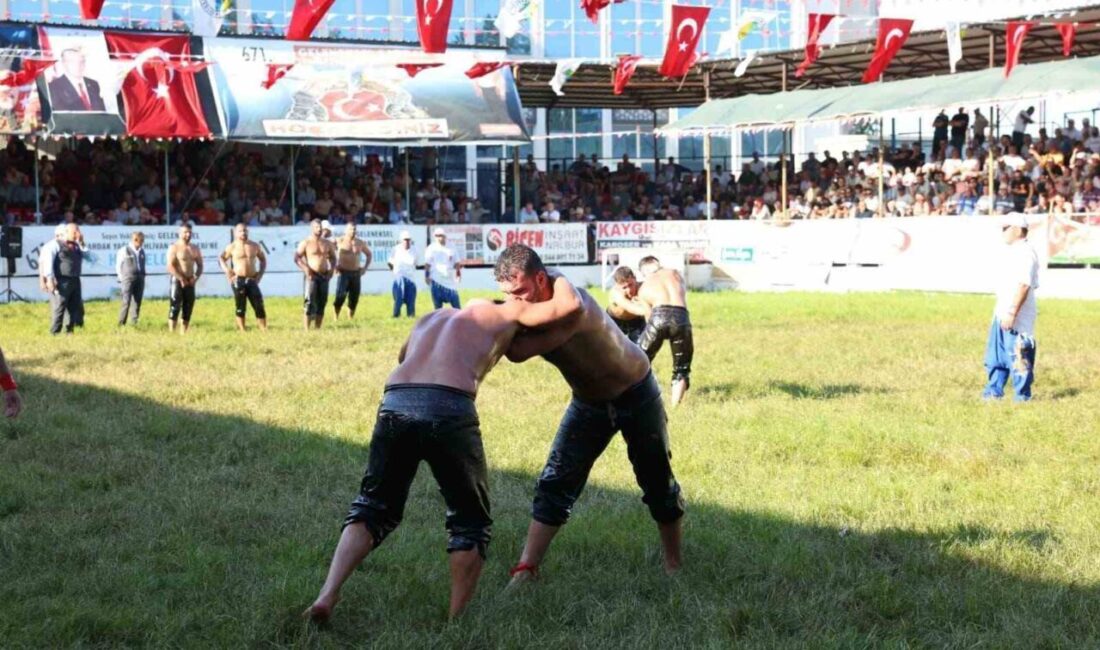 Çanakkale’nin Lapseki ilçesinde düzenlenen Tarihi Çardak Yağlı Güreşleri’nin bu sene