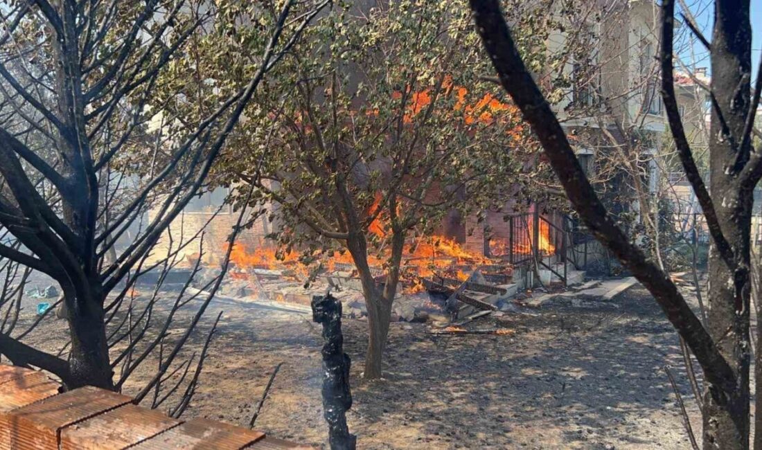 Çanakkale’nin merkez ilçesine bağlı Kepez beldesi ve Dardanos mevkisinde sabah