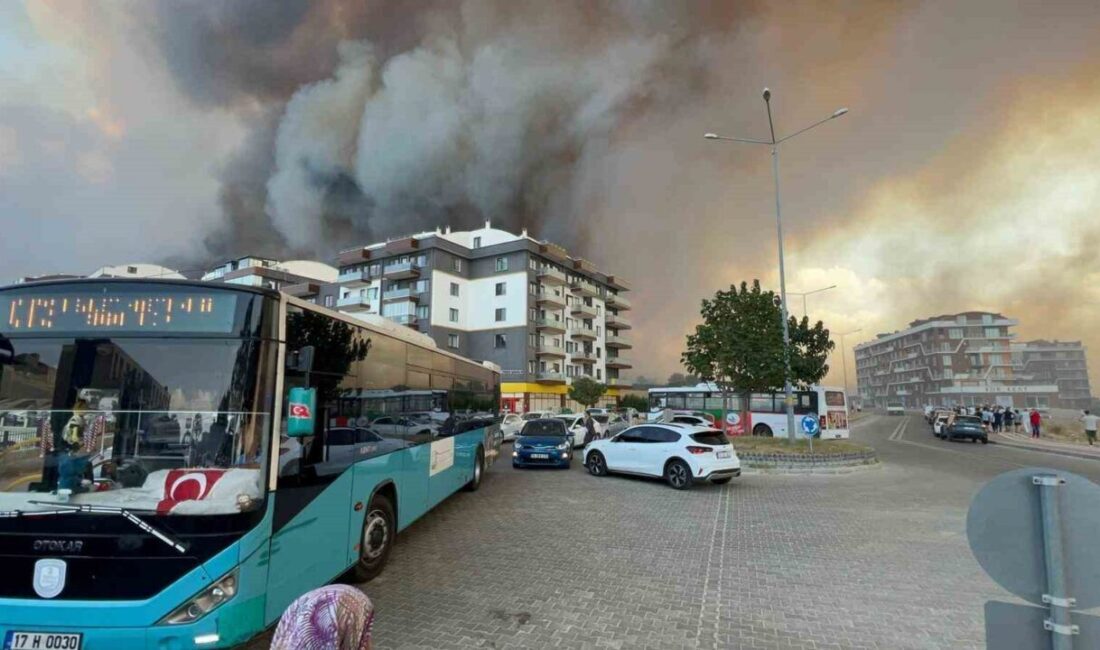 Çanakkale’de çıkan orman yangınını kontrol altına almak için Orman Bölge