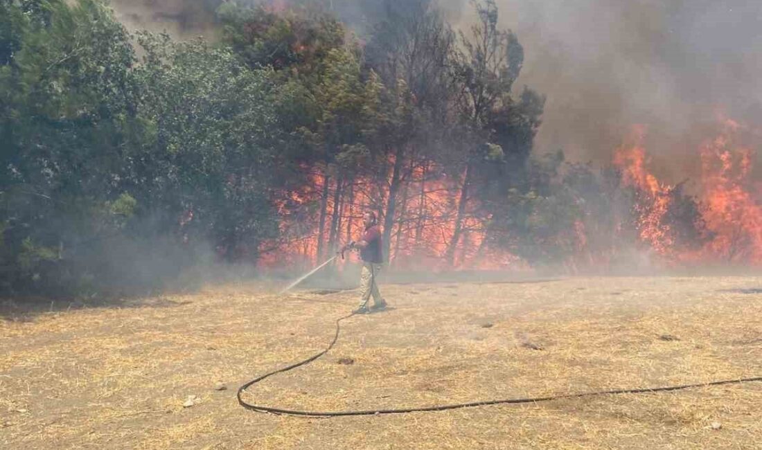Çanakkale’de orman yangınına havadan ve karadan müdahale ediliyor Çanakkale’de çıkan orman yangınını kontrol altına almak için Orman Bölge