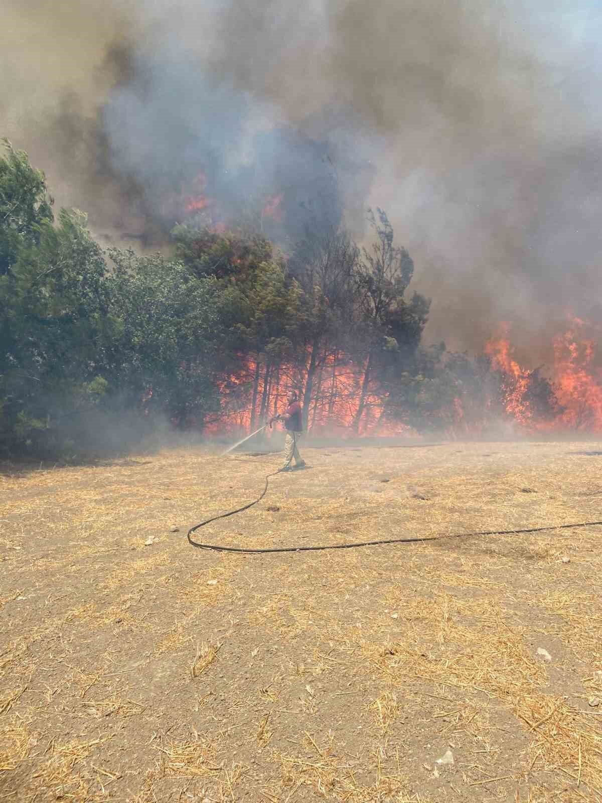 Çanakkale’de çıkan orman yangınını kontrol altına almak için Orman Bölge