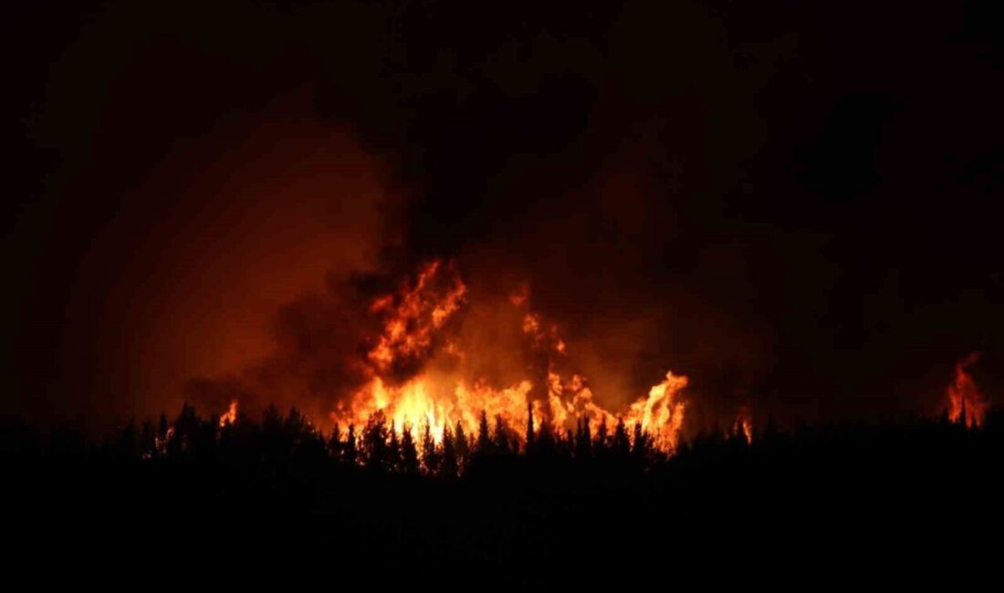 Çanakkale’nin Gelibolu ilçesinde çıkan orman yangınına Orman Bölge Müdürlüğü ekipleri