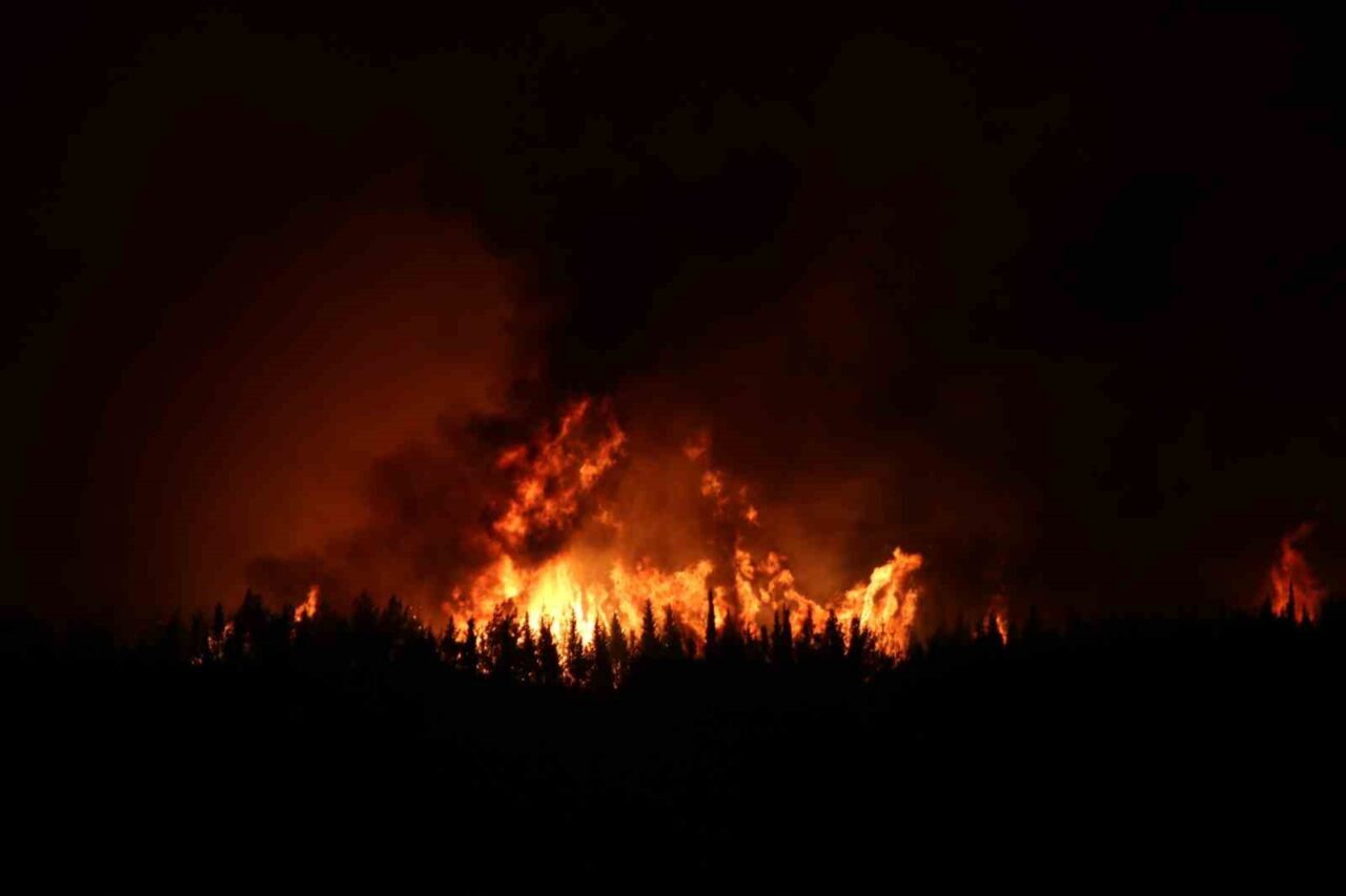 Çanakkale’nin Gelibolu ilçesinde çıkan orman yangınına Orman Bölge Müdürlüğü ekipleri