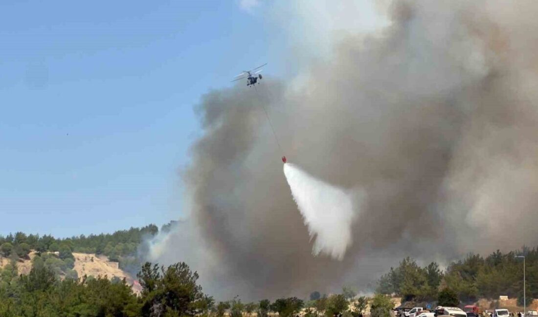 Çanakkale’de çıkan orman yangınını kontrol altına almak için Orman Bölge