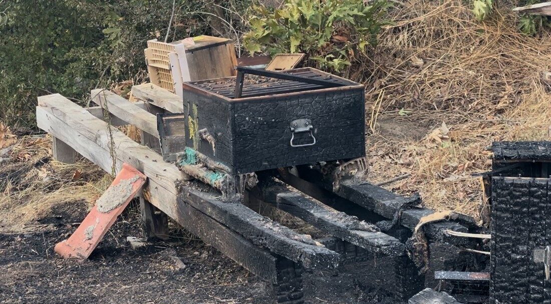 Çanakkale’nin Gelibolu ilçesinde çıkan orman yangınına Orman Bölge Müdürlüğü ekipleri