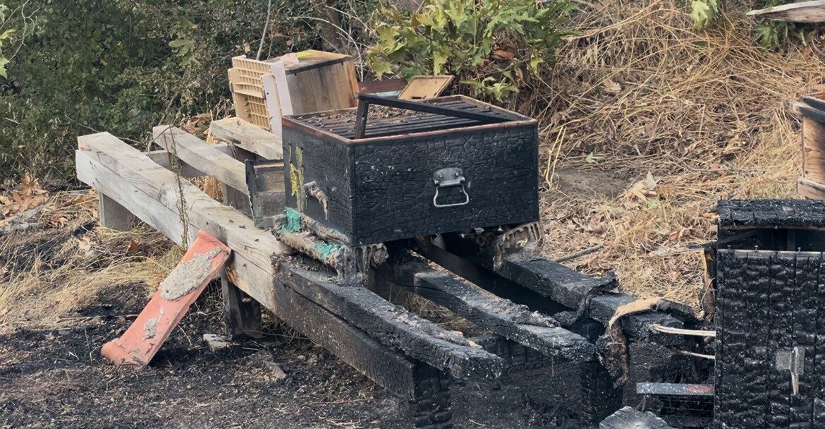 Çanakkale’nin Gelibolu ilçesinde çıkan orman yangınına Orman Bölge Müdürlüğü ekipleri