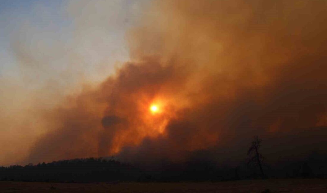 Çanakkale’nin Gelibolu ilçesinde çıkan orman yangınına Orman Bölge Müdürlüğü ekiplerinin