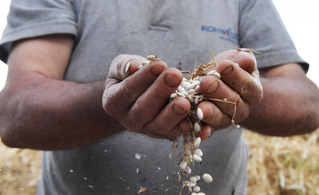 Konyaaltı’nın tarihi lezzeti Çandır fasulyesi için Türk Patent ve Marka