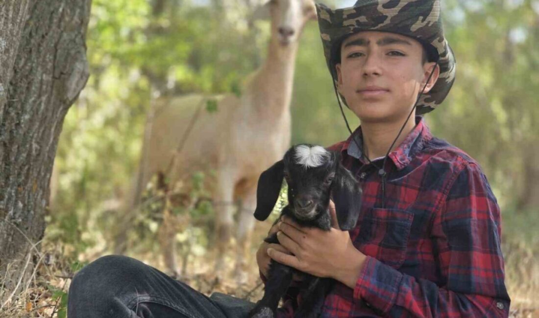 Yozgat’ta çobanlık yapan Muhammed Emre Başar, minik oğlağına isim arıyor.