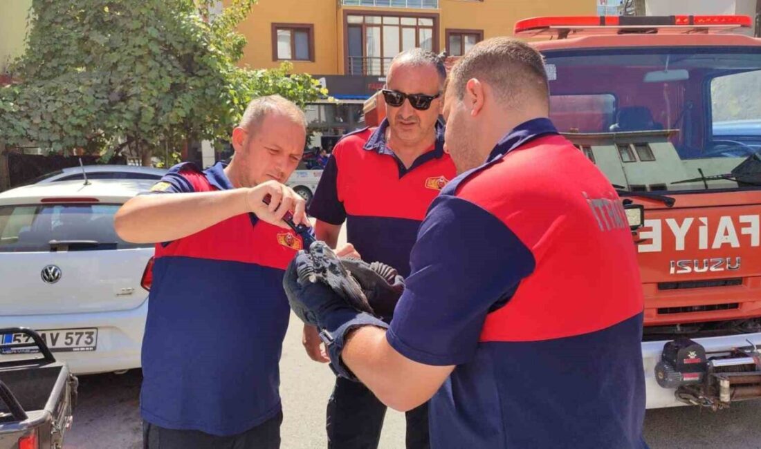 Sinop’ta bir apartmanın çatı katındaki ağlara takılan güvercin, itfaiye ekipleri