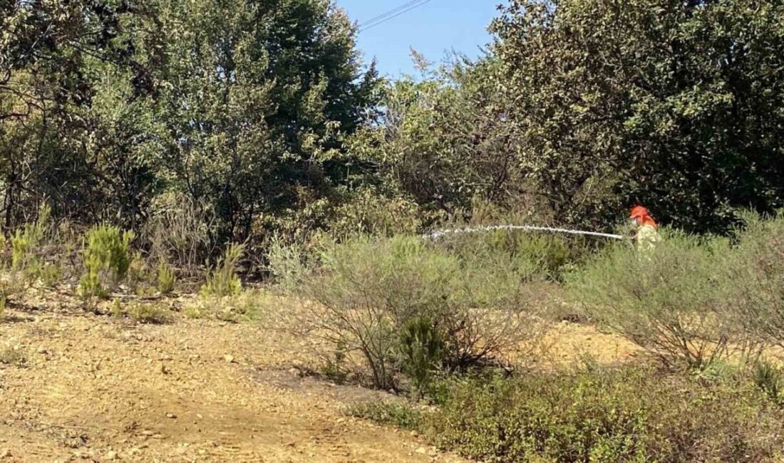 Çekmeköy Alemdağ ormanında çıkan yangında 10 dönüm alan zarar gördü.