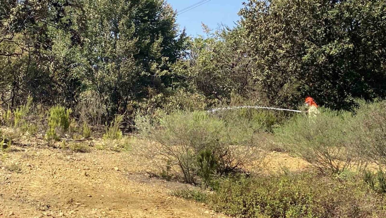 Çekmeköy Alemdağ ormanında çıkan yangında 10 dönüm alan zarar gördü.