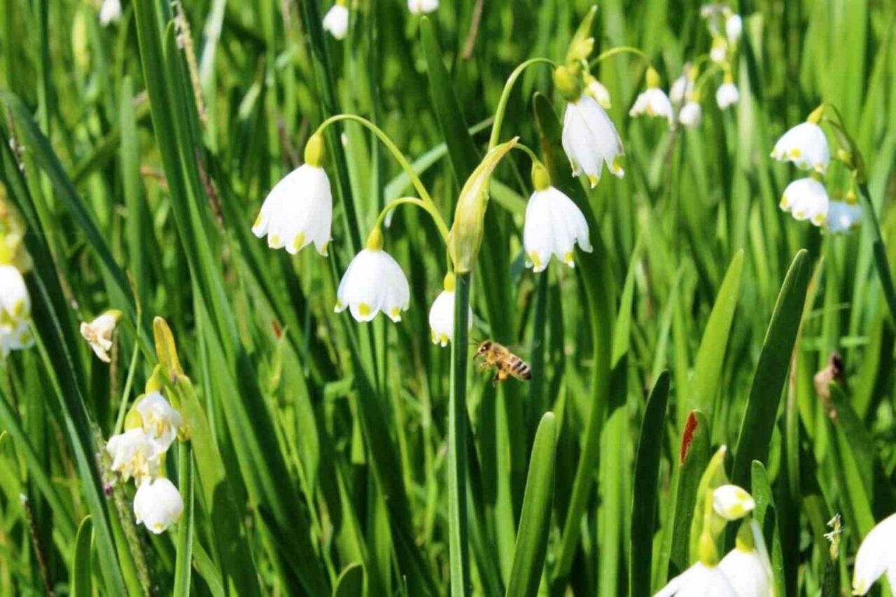 2024 yıllarında 2872 sayılı Çevre Kanunu’nu ihlal eden 16 kişiye