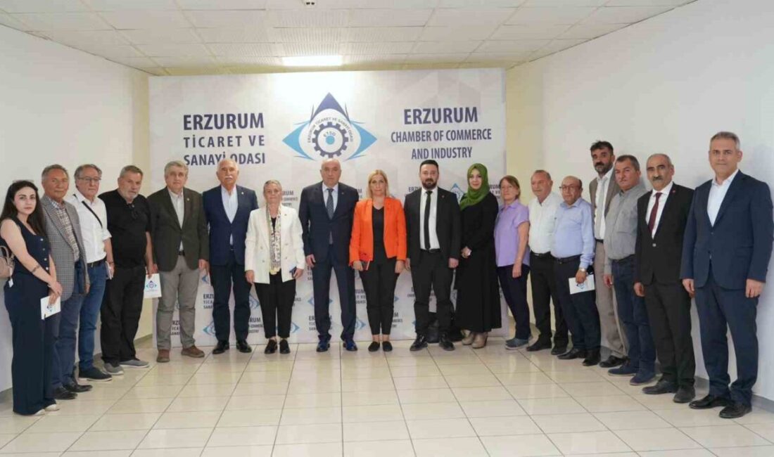 CHP Tokat Milletvekili Kadim Durmaz, Trabzon Milletvekili Sibel Suiçmez, Rize