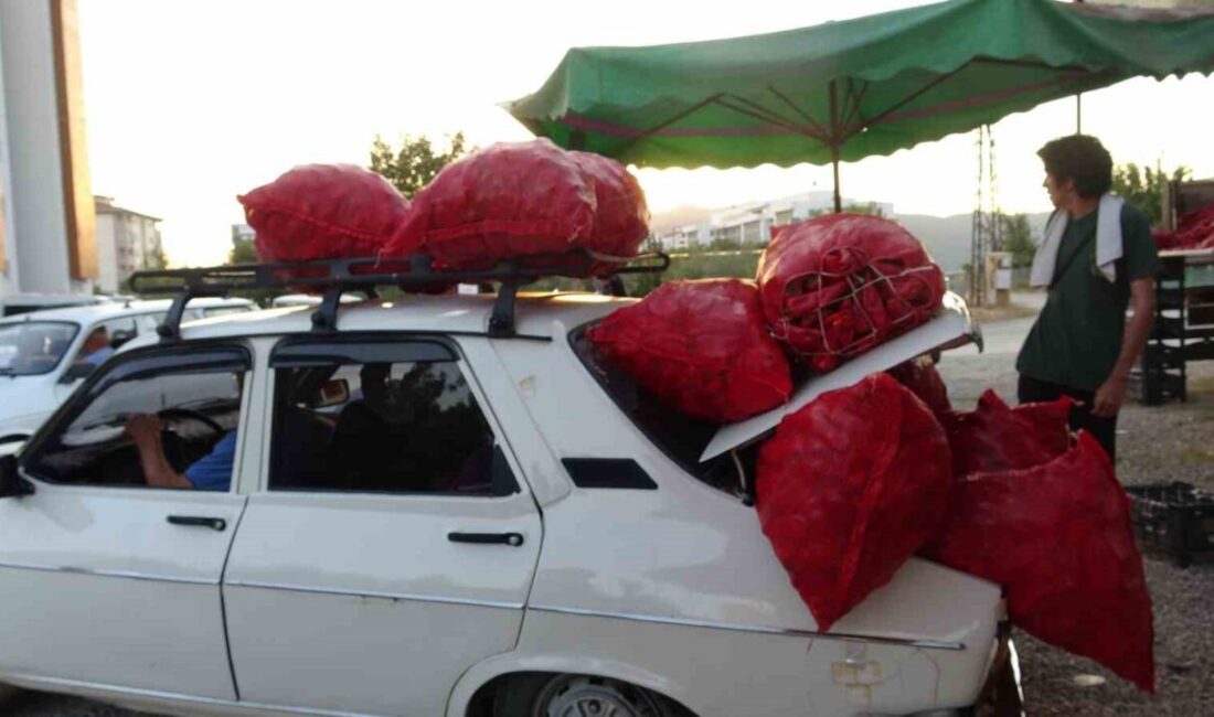 Adana’nın Kozan ilçesinde her yıl ağustosun ortasında başlayan salça sezonunda,