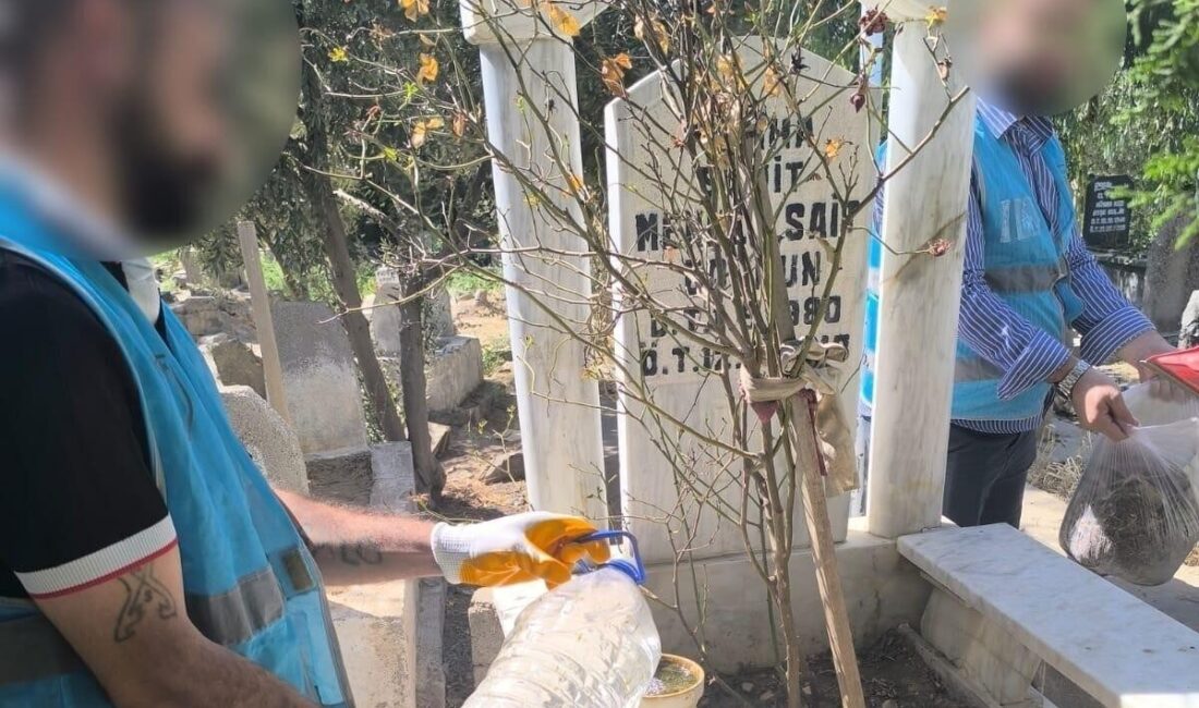 Şırnak’ın Cizre ilçesinde denetimli serbestlik tedbiri altında bulunan yükümlüler, Şehitlik