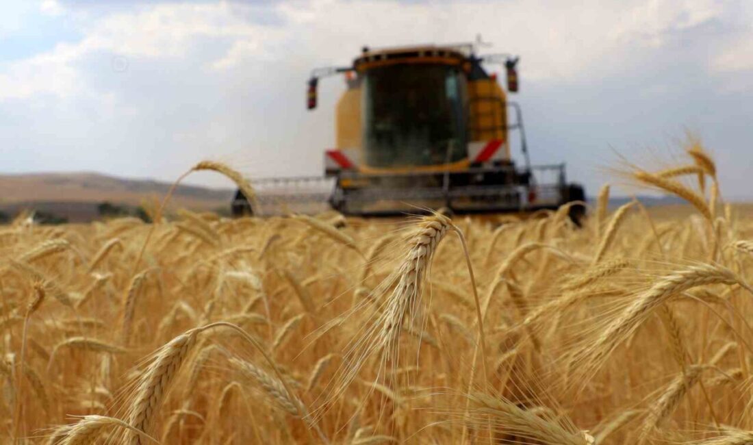 Sivas’ta 2026 yılı Çiftçi Kayıt Sistemi (ÇKS) başvuruları 1 Eylül