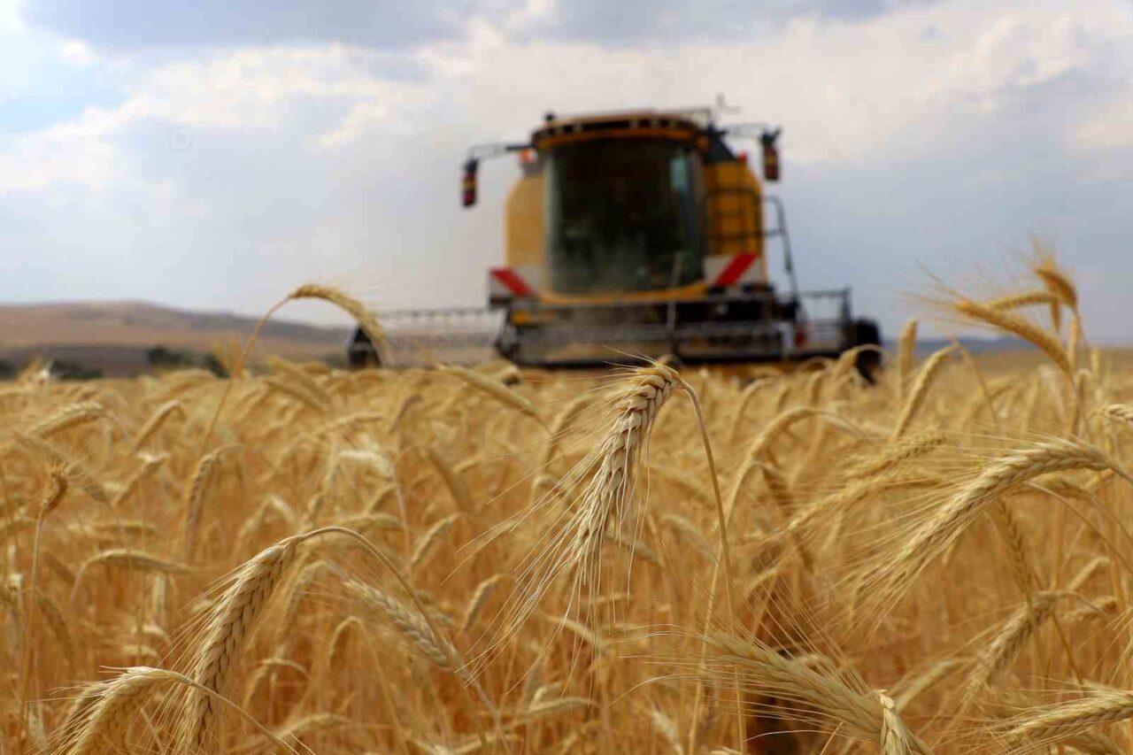 Sivas’ta 2026 yılı Çiftçi Kayıt Sistemi (ÇKS) başvuruları 1 Eylül