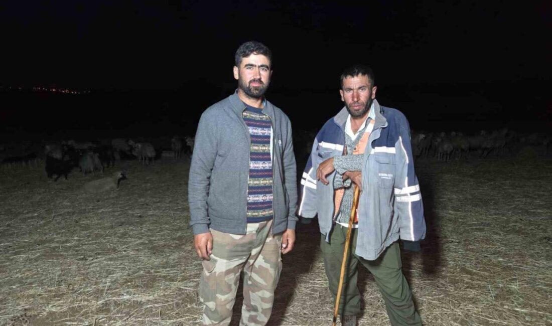 Yurt genelinde etkisini sürdüren sıcak hava dalgası, çobanları gece otlatmaya