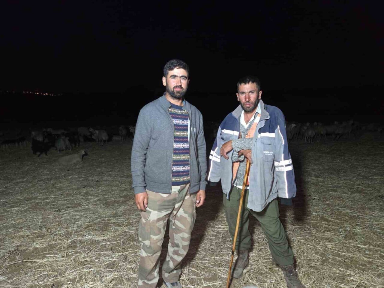 Yurt genelinde etkisini sürdüren sıcak hava dalgası, çobanları gece otlatmaya