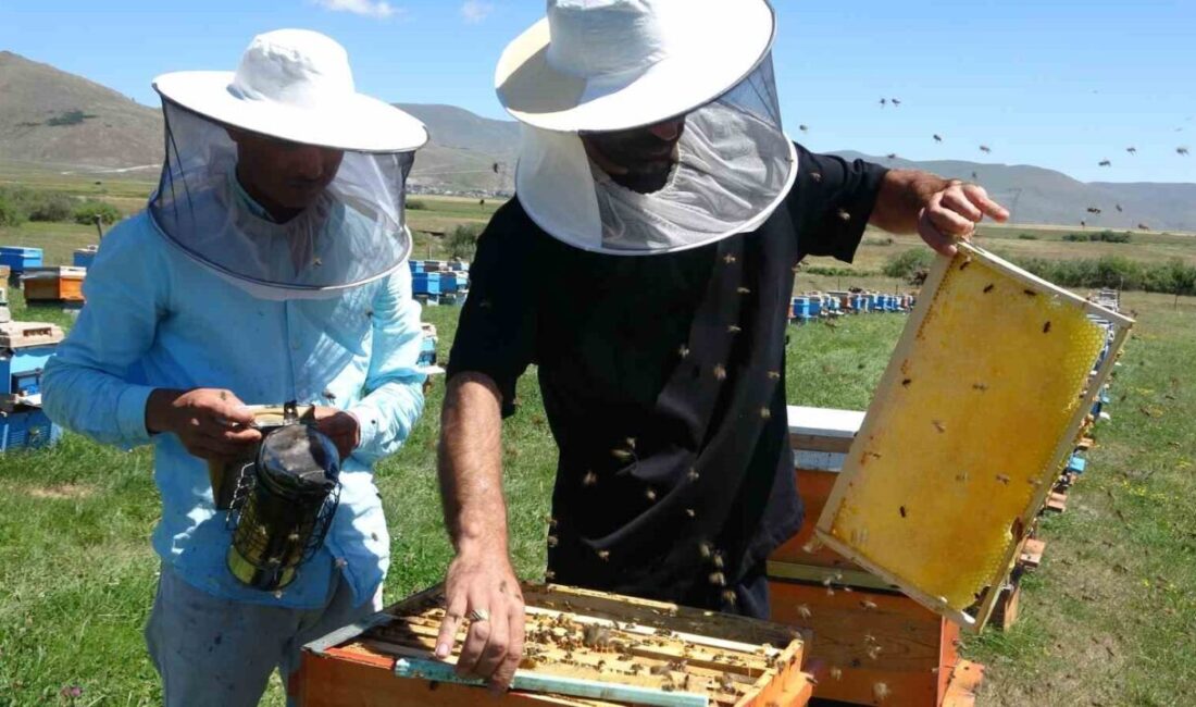 Türk Patent ve Marka Kurumunca coğrafi işaretle tescillenen Ardahan çiçek