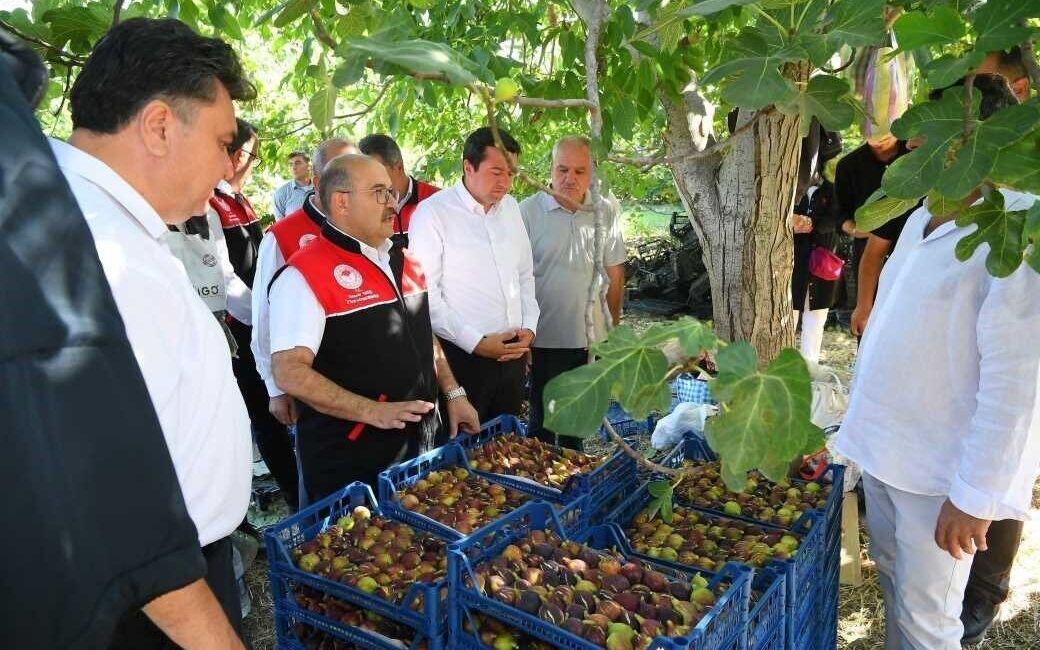 Balıkesir’in Havran ilçesinde lezzeti, kalitesi ve aromasıyla ün kazanan coğrafi