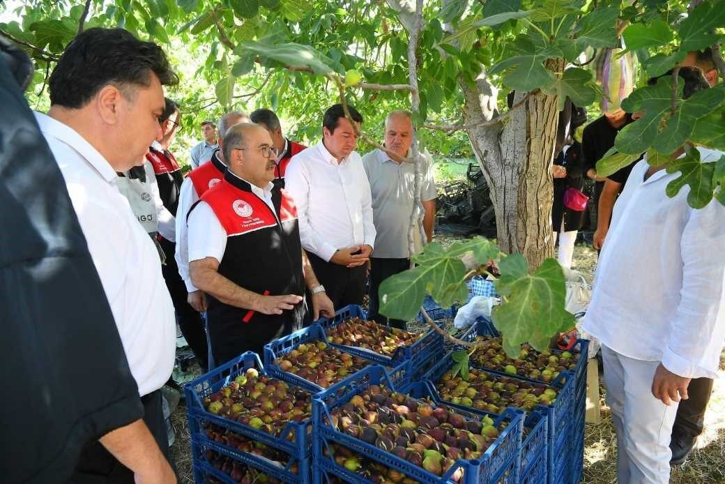 Balıkesir’in Havran ilçesinde lezzeti, kalitesi ve aromasıyla ün kazanan coğrafi