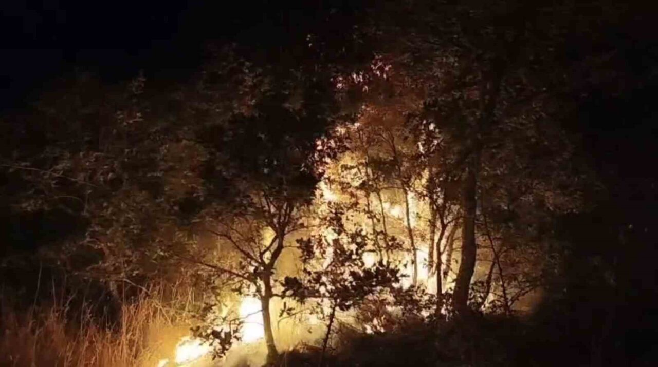 Balıkesir’de şehir çöplüğünde başlayan yangın, araziye sıçradı. Tutuşan otlar ve
