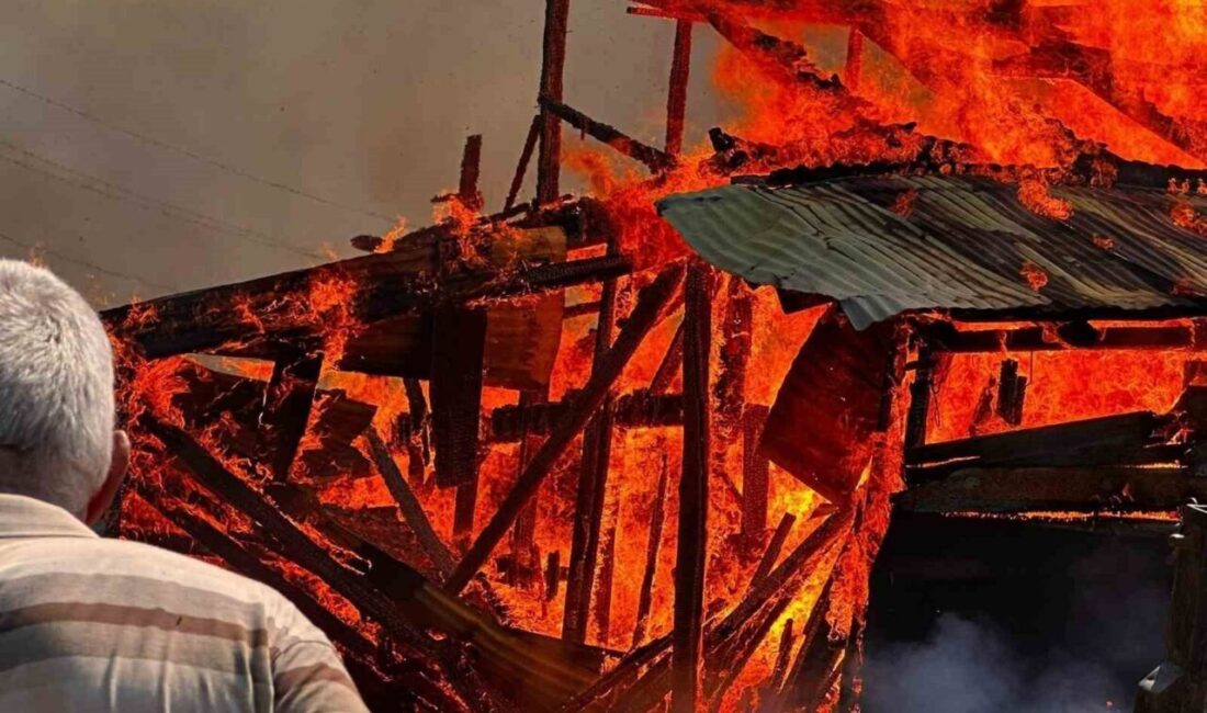 Kastamonu’nun Azdavay ilçesinde çöplükten çıktığı değerlendirilen yangında, 5 ahşap samanlık