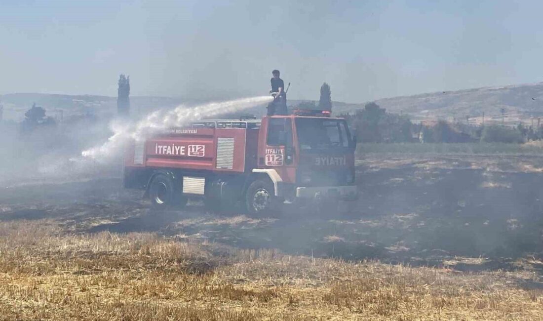 Çorum’da tarlada çıkan yangın itfaiye ekipleri tarafından söndürüldü. Olay, Çiftlik