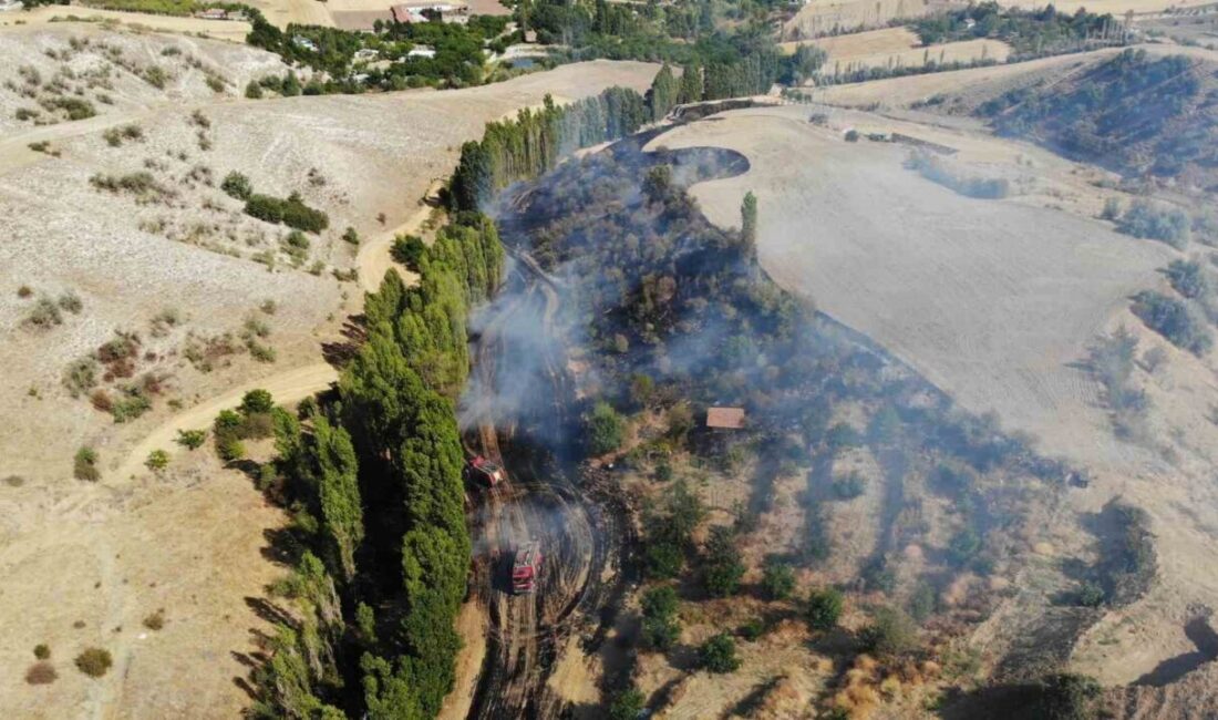 Çorum’da tarlada çıkan yangın, itfaiye ekiplerinin uzun uğraşları neticesinde kontrol