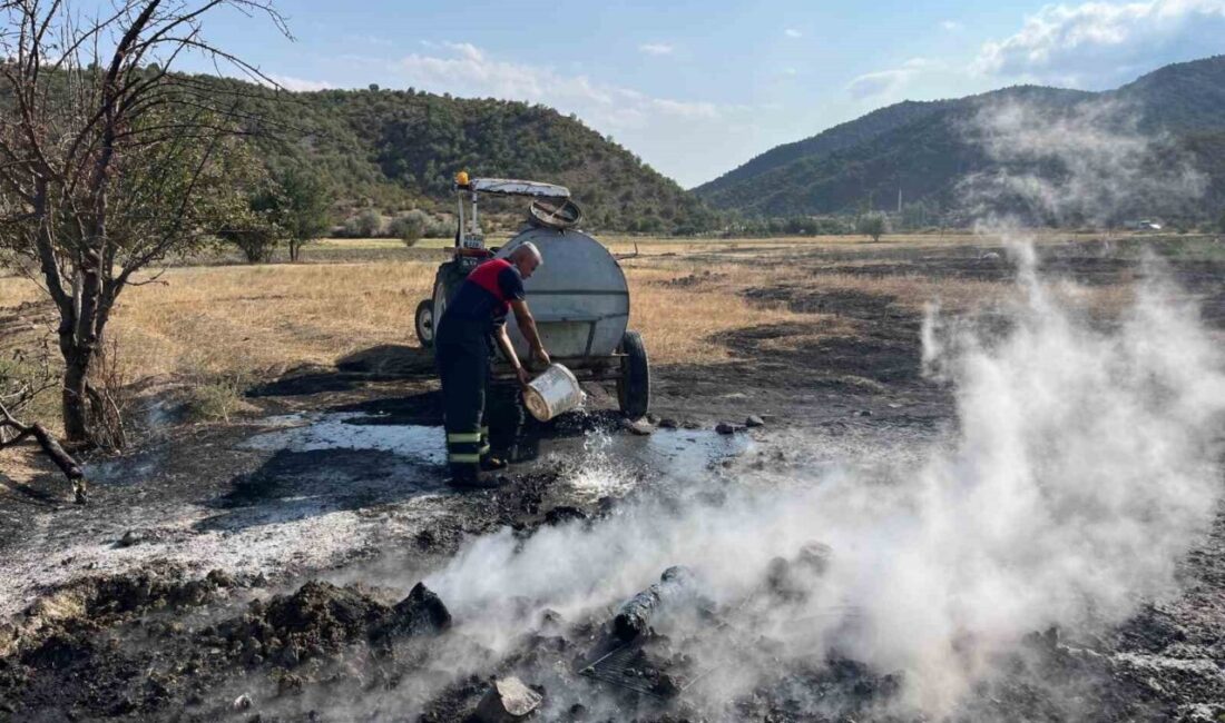 Çorum’un Osmancık ilçesine bağlı bir köyün kırsalında bir tarlada çıkan