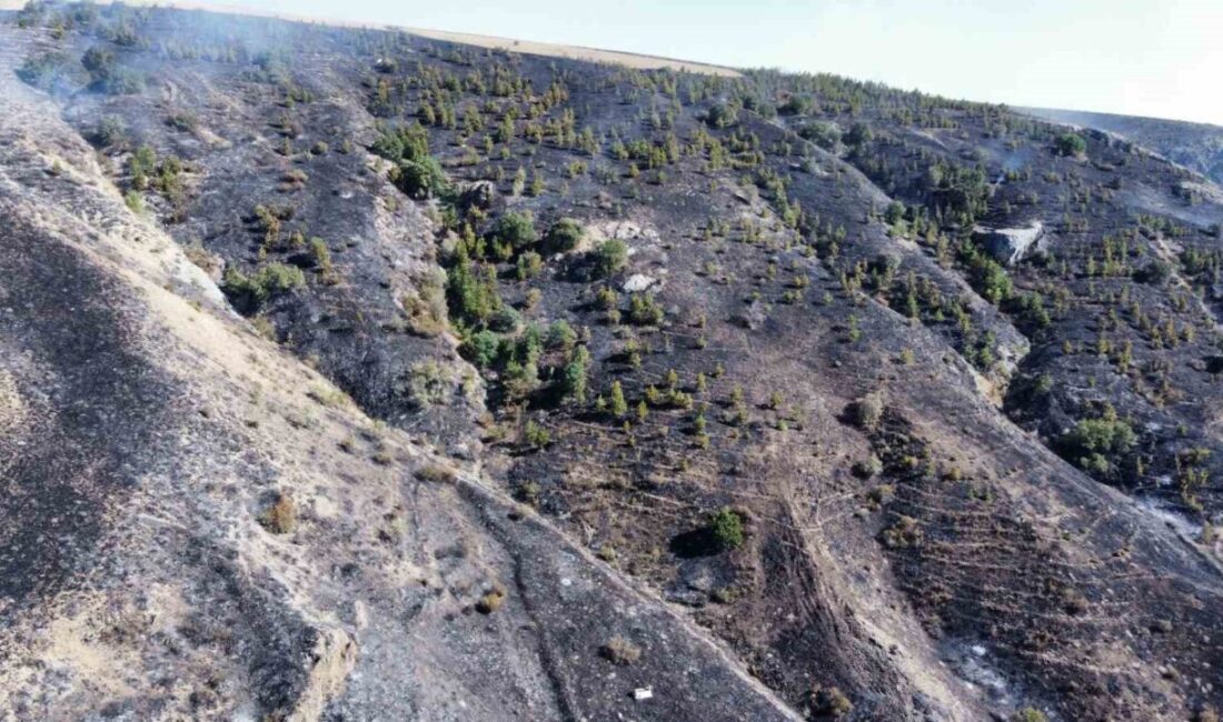 Çorum’un Alaca ilçesinde otluk alanda çıkan ve ormana sıçrayan yangın,