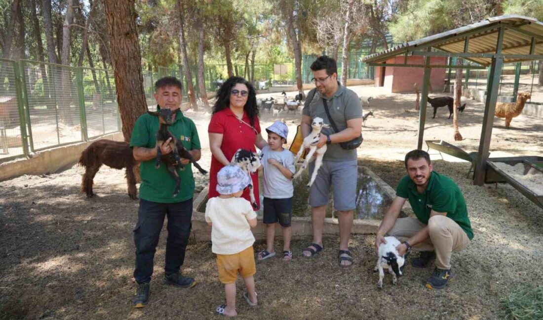 Türkiye’nin en büyük hayvanat bahçesi olan Gaziantep Doğal Yaşam Parkı’ndaki