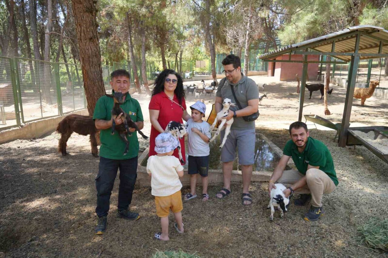 Türkiye’nin en büyük hayvanat bahçesi olan Gaziantep Doğal Yaşam Parkı’ndaki