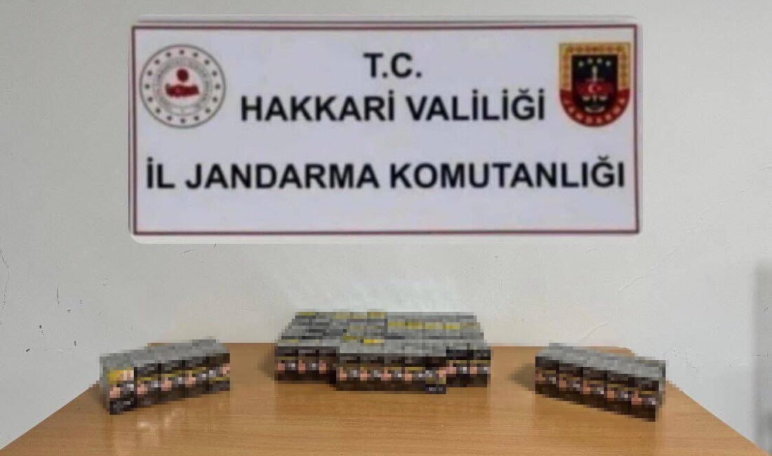 Hakkari’nin Çukurca ilçesinde jandarma ekipleri tarafından yapılan çalışmalarda bir otomobilde