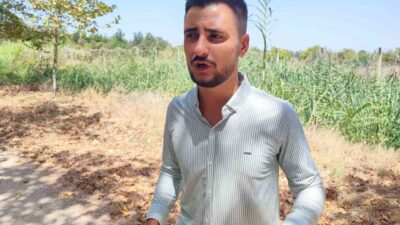 Adana’da bir kişi Çukurova Üniversitesi yerleşkesinde gördüğü domuzları otomobilinden inip