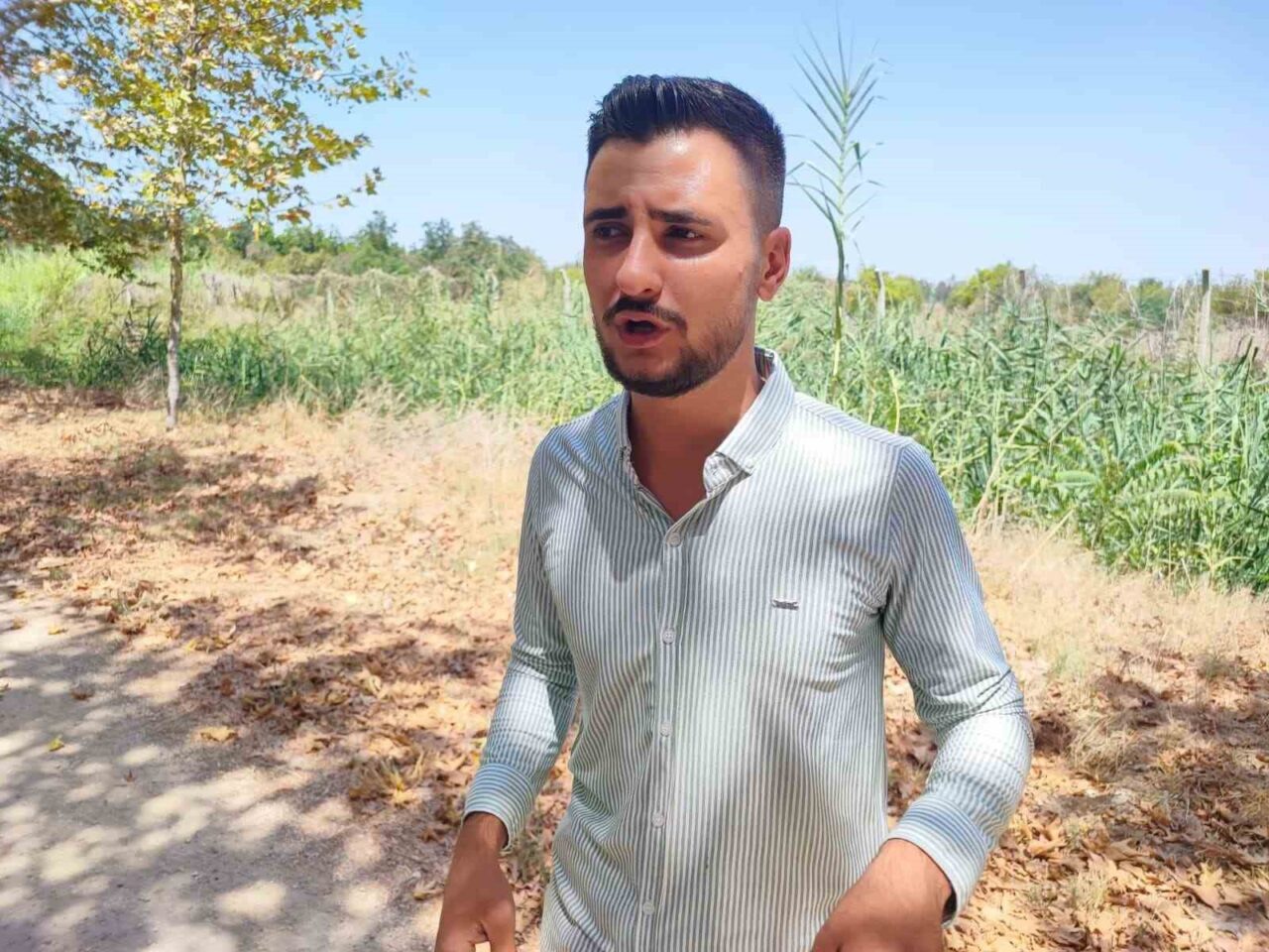 Adana’da bir kişi Çukurova Üniversitesi yerleşkesinde gördüğü domuzları otomobilinden inip