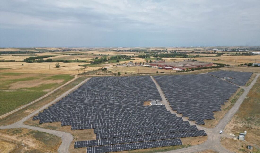 CW Enerji, 9 bin 863,62 kWp gücündeki Tekirdağ arazi GES’in