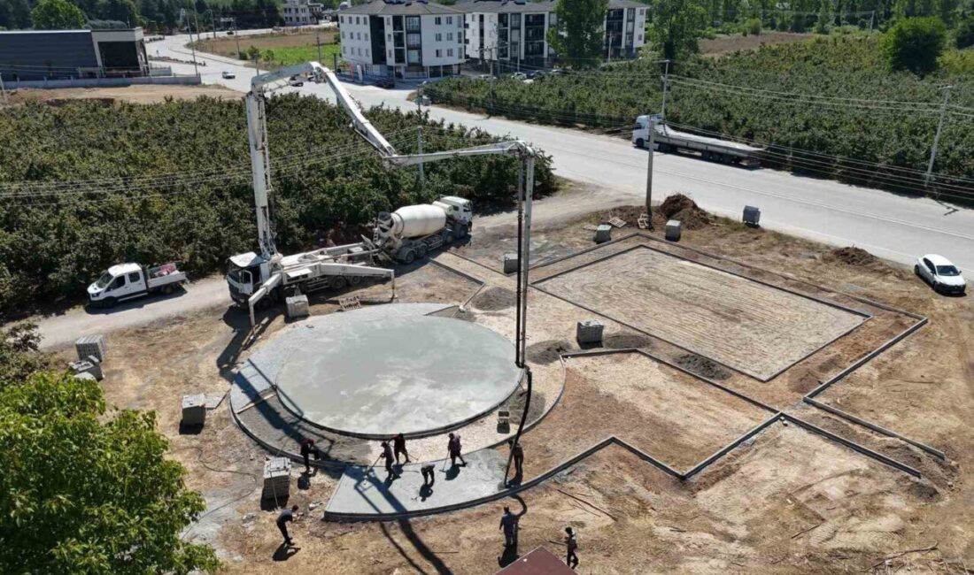 Düzce (İHA) – Düzce Belediyesi Park ve Bahçeler Müdürlüğü tarafından