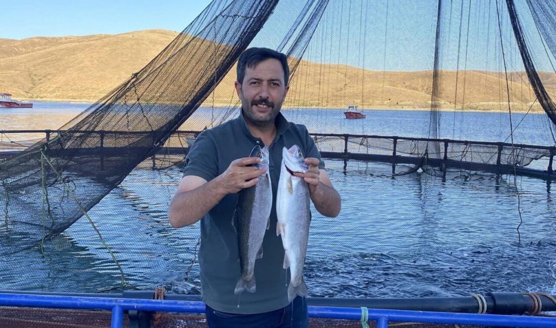 Bayburt’un Demirözü ilçesinde bulunan Demirözü Göletinde yetişen Alabalıklar Somon oldu.