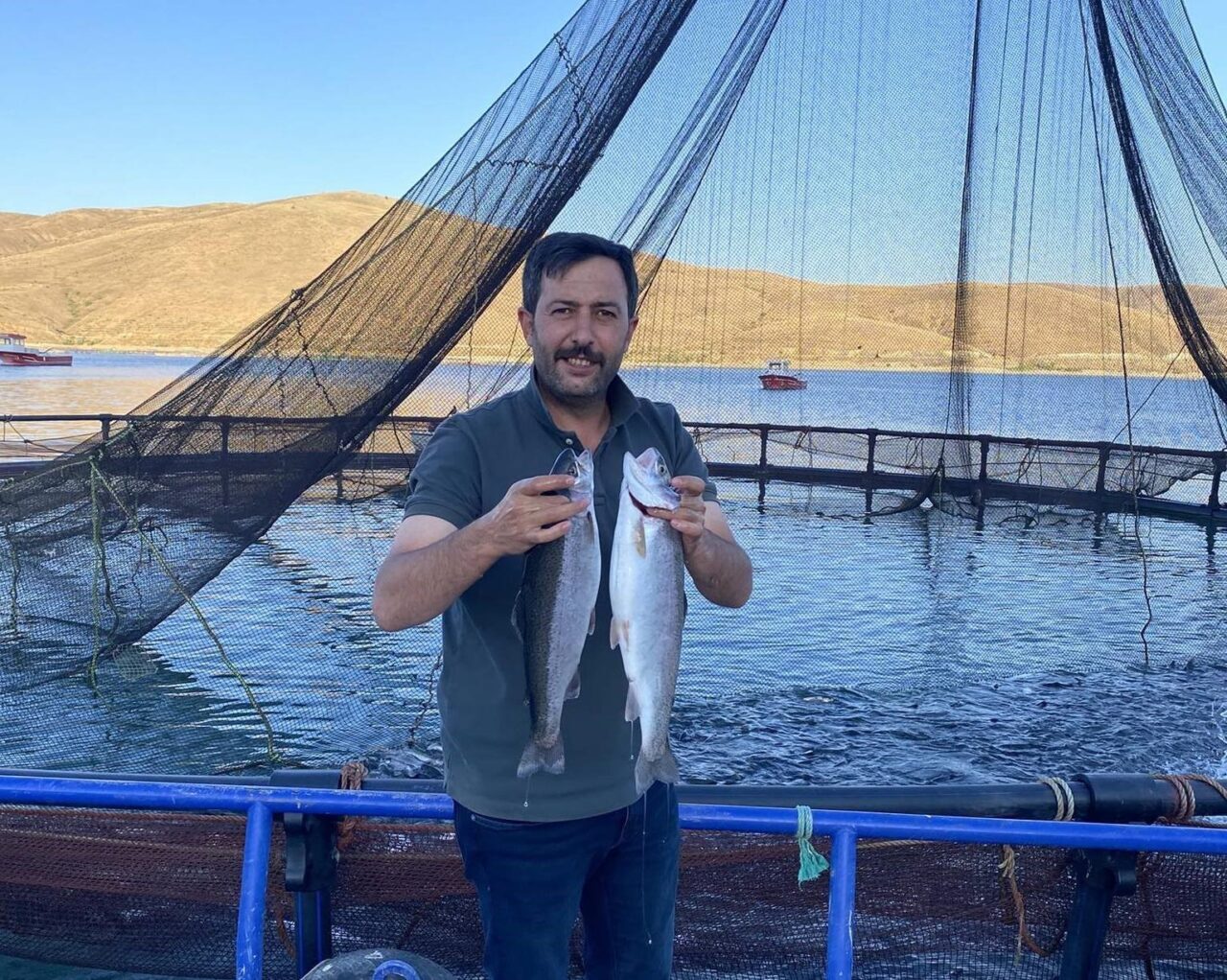 Bayburt’un Demirözü ilçesinde bulunan Demirözü Göletinde yetişen Alabalıklar Somon oldu.