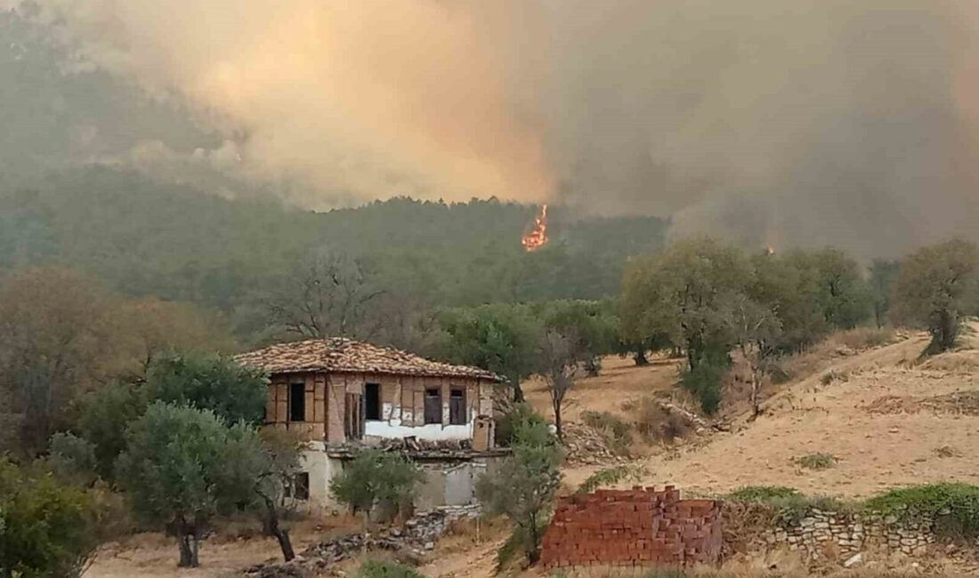 Denizli’nin Buldan ilçesi Çatak Mahallesi’nde 4 gün önce ormanlık alanda