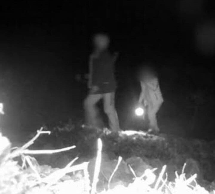 Denizli’nin Buldan ilçesinde yaban hayatını gözlemlemek için kurulan fotokapana 3