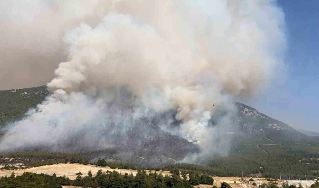 Denizli’nin Pamukkale ilçesi Cankurtaran Mahallesi’nde çıkan orman yangını havadan ve