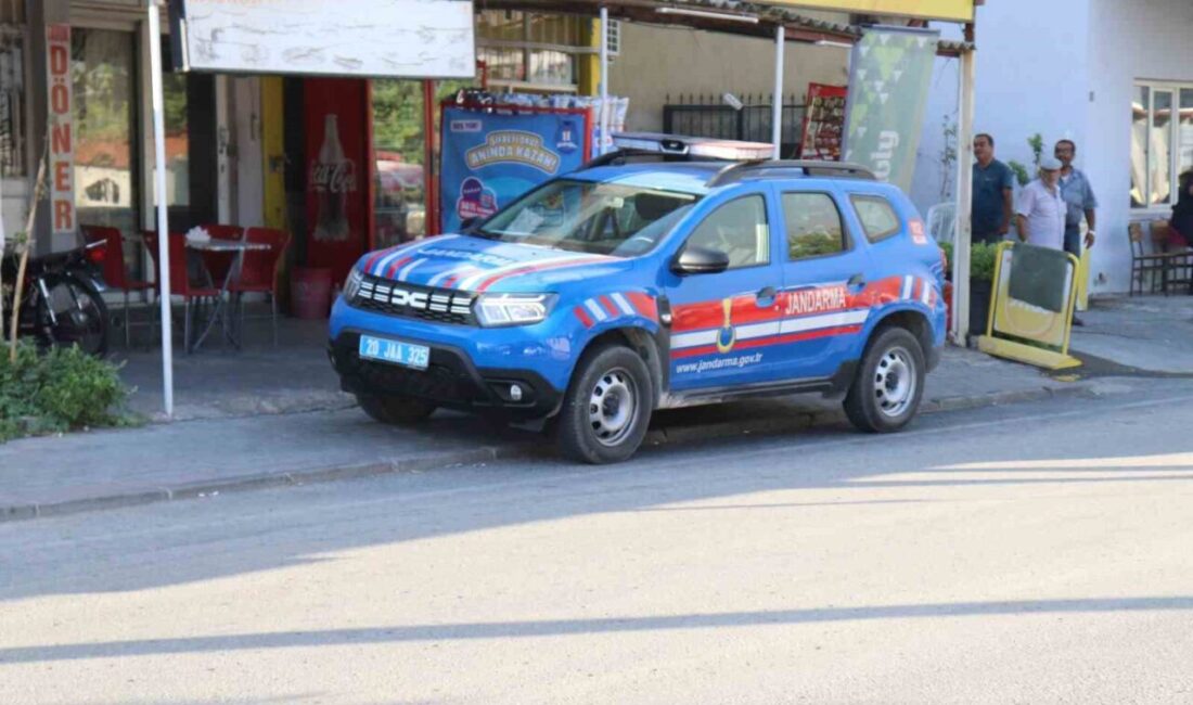 Denizli’de dün öğle saatlerinde kaybolan 15 yaşındaki engelli çocuktan bir