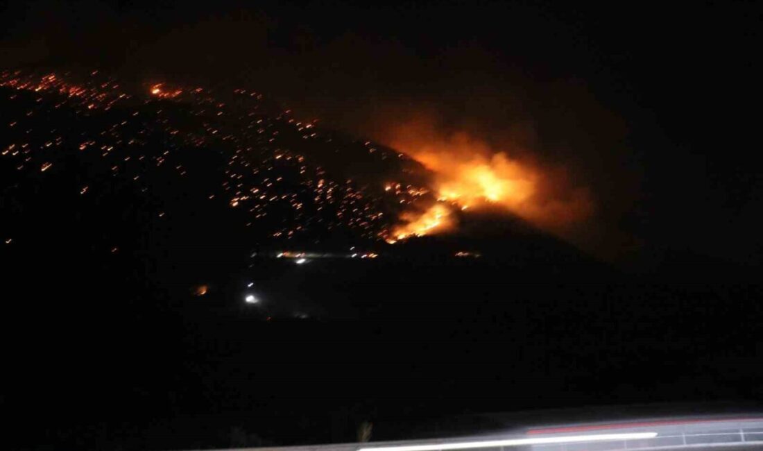 Denizli’nin Pamukkale ilçesi Cankurtaran Mahallesi’nde çıkan orman yangınına gece de