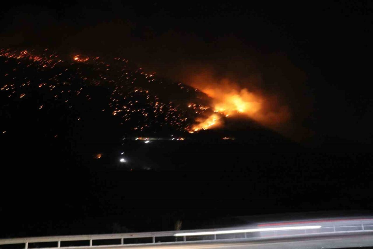 Denizli’nin Pamukkale ilçesi Cankurtaran Mahallesi’nde çıkan orman yangınına gece de