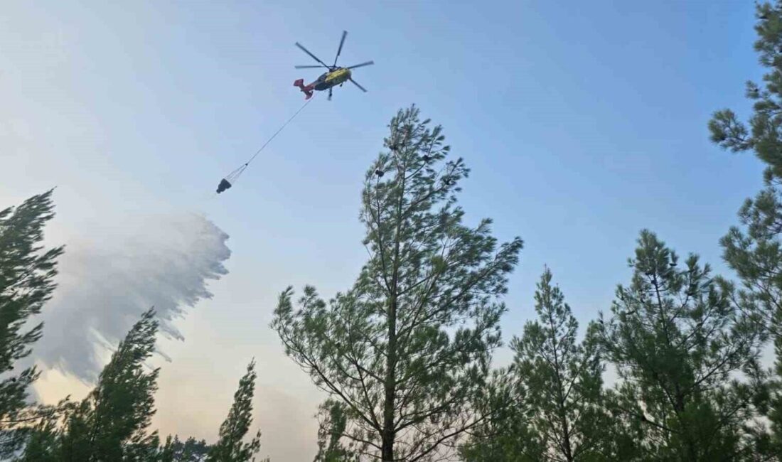 Denizli’nin Acıpayam ilçesinde sarp ve kayalık bölgede çıkan orman yangını,
